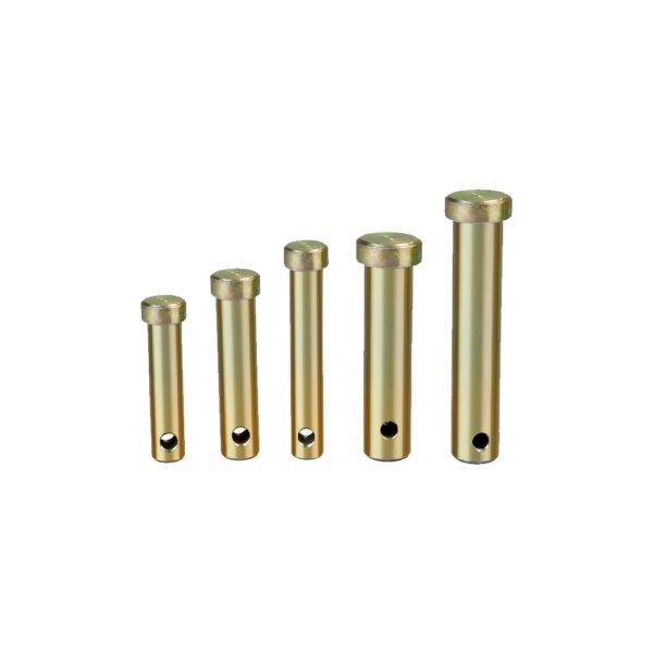 PINS